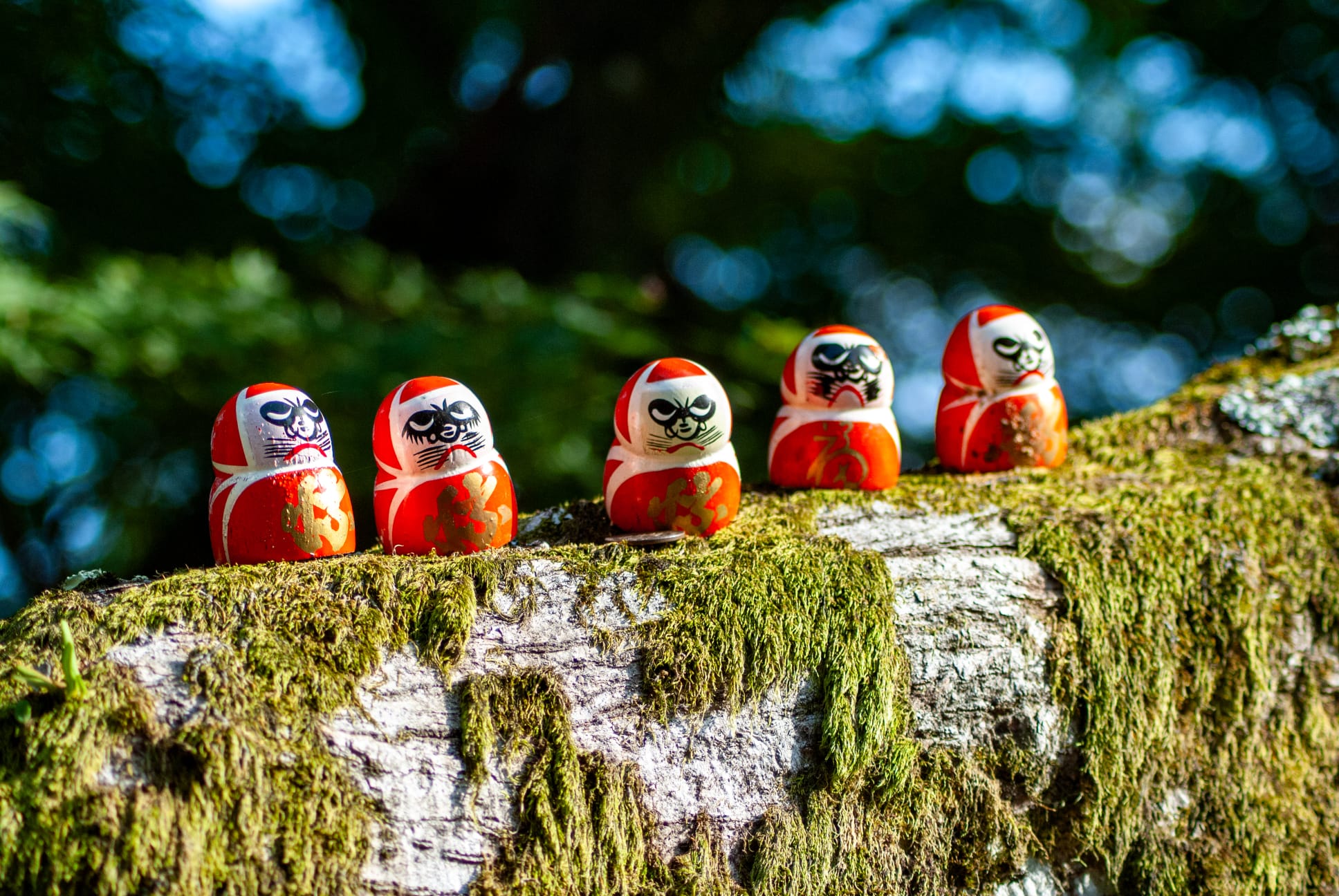 August 2025 - There were five Daruma sitting on a wall...