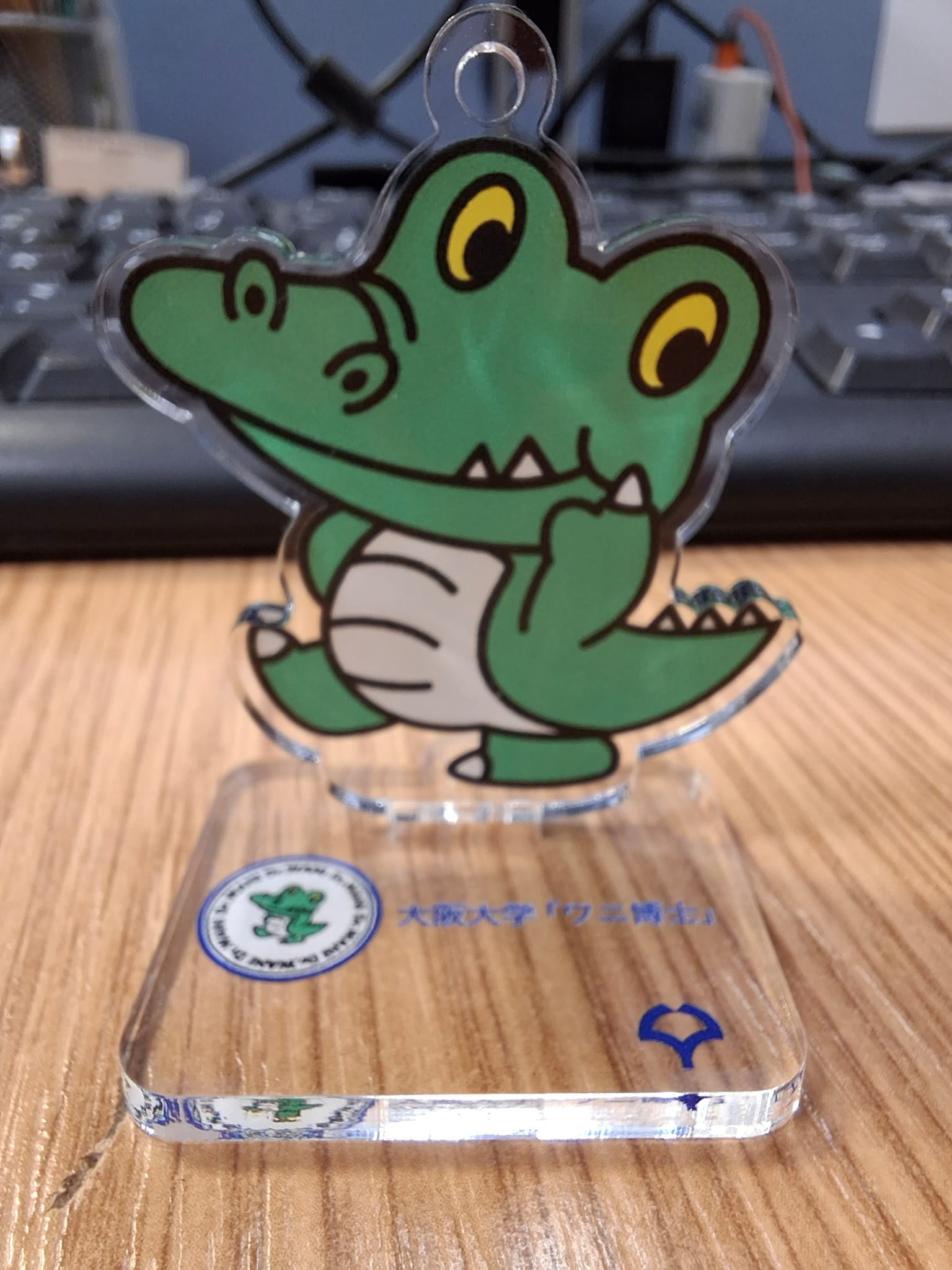 November 2025 - Dr Wani is my new desk buddy π